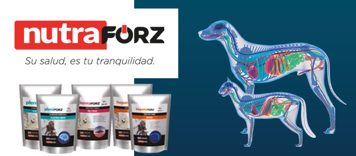 Digestforz